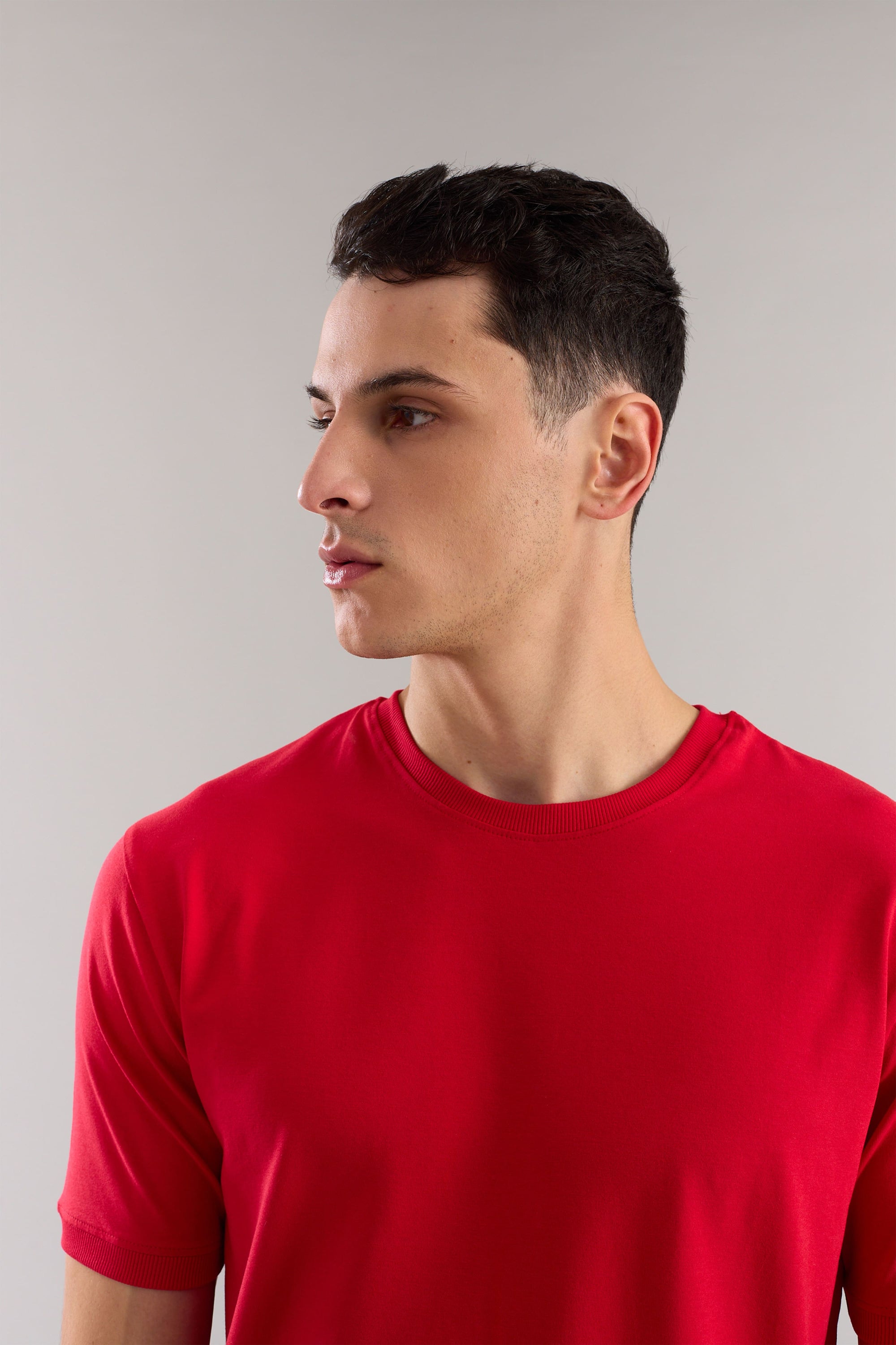 Crimson Regular Fit T-shirt - Ultra Soft