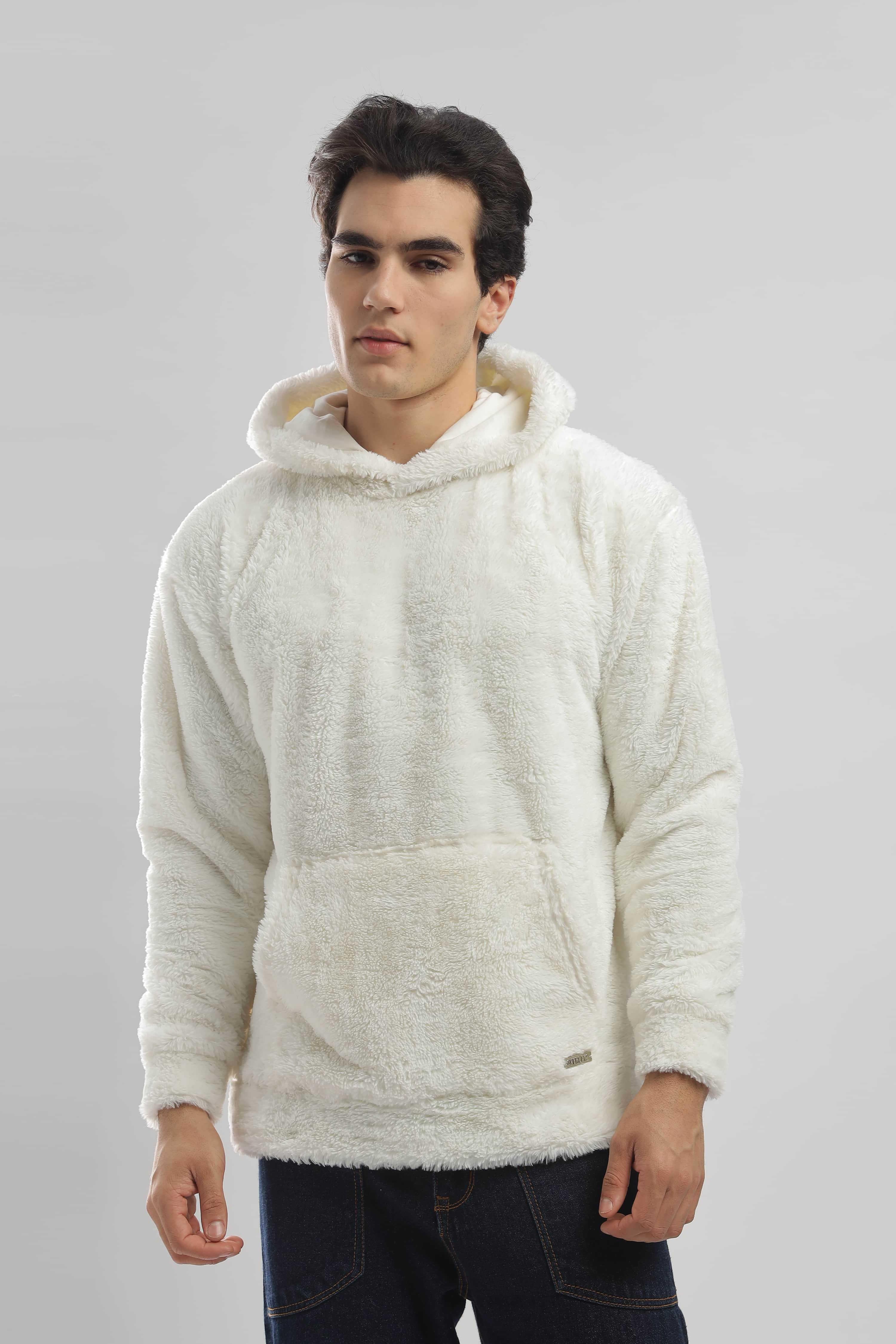 Artic Wolf Oversized Hoodie