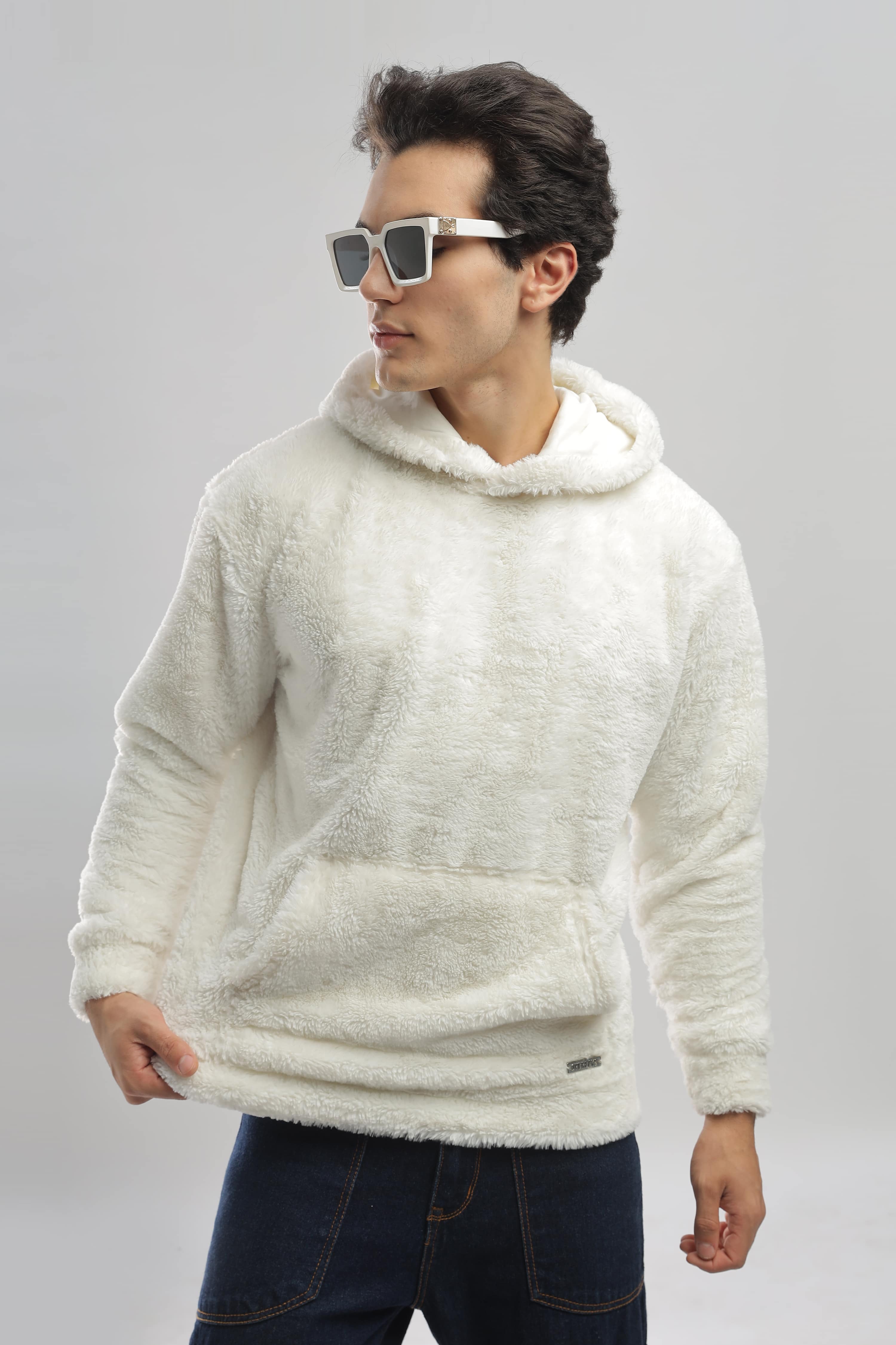 Artic Wolf Oversized Hoodie