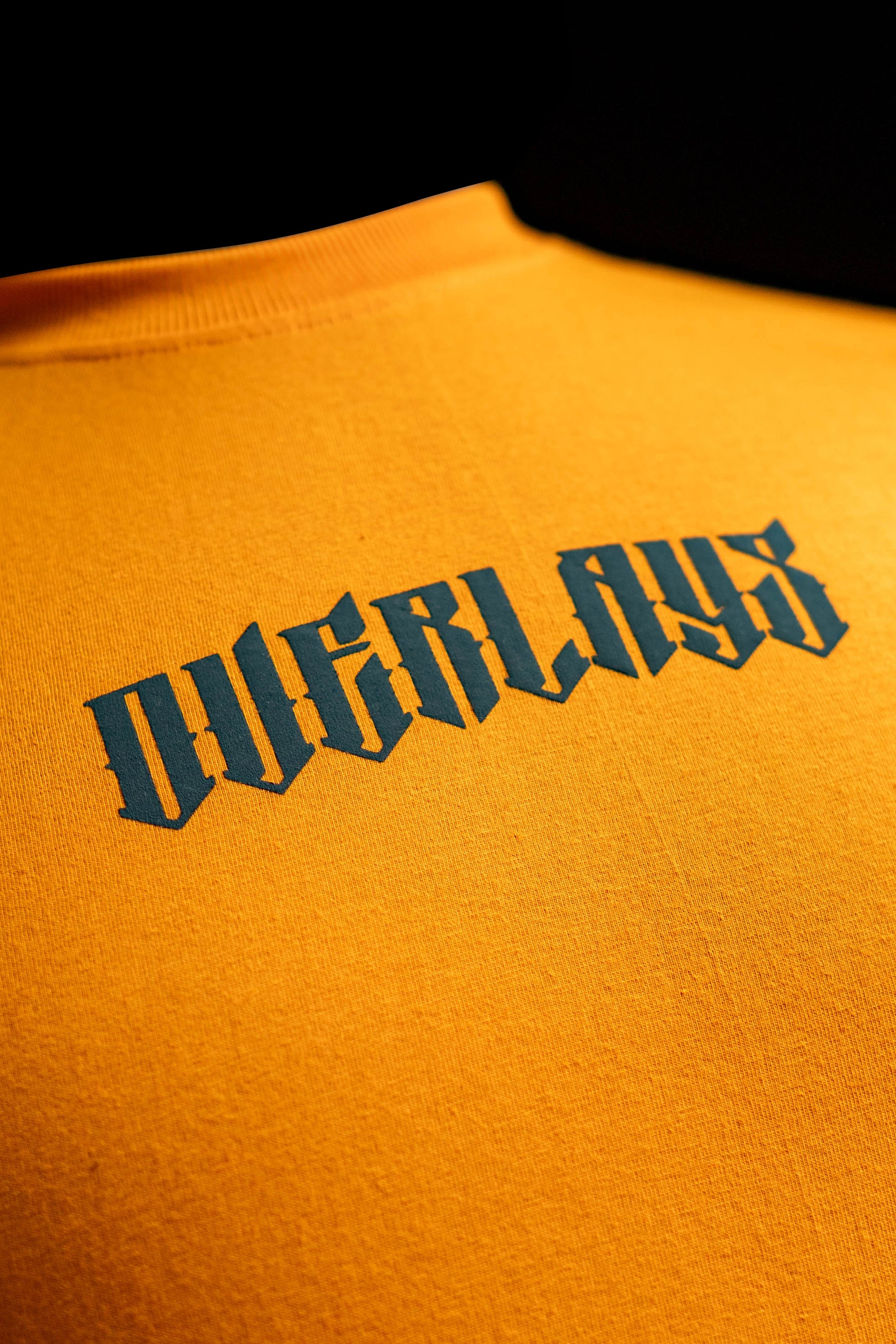 Blazing Wild Relaxed Fit T-Shirt