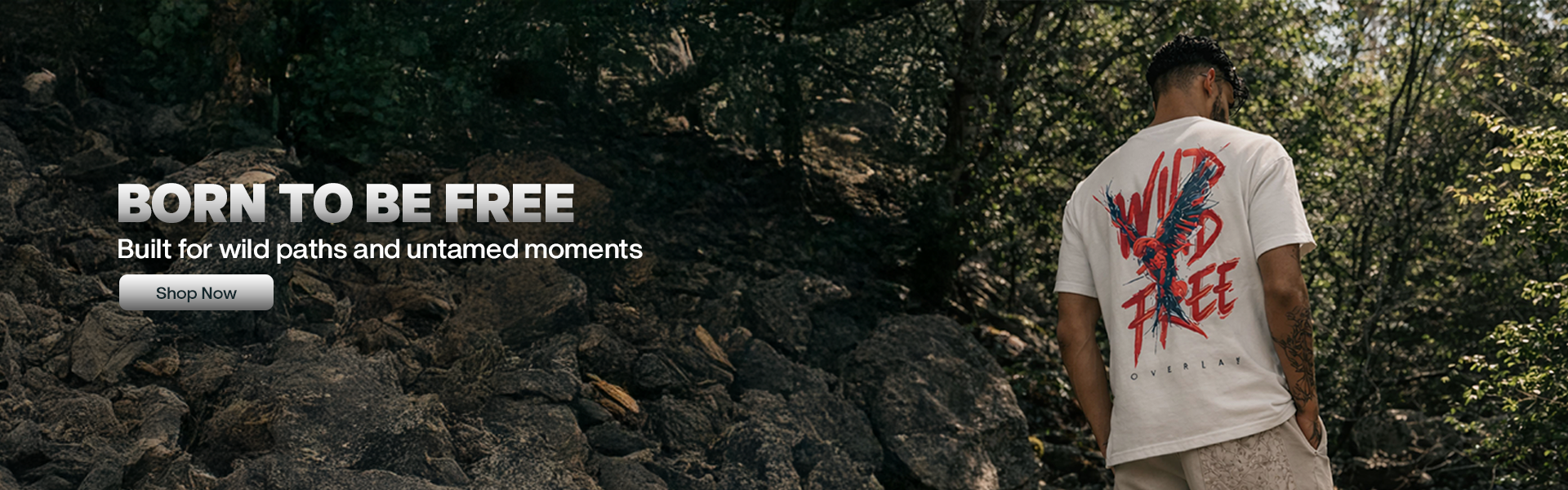 custom-slideshow-image-desktop-block_tDxyPG