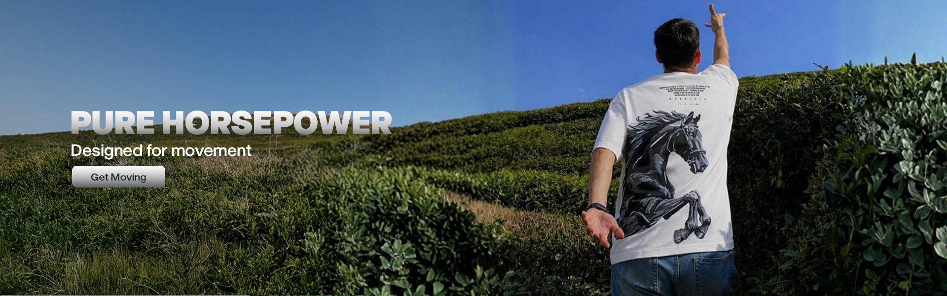 custom-slideshow-image-desktop-block_tipDAD