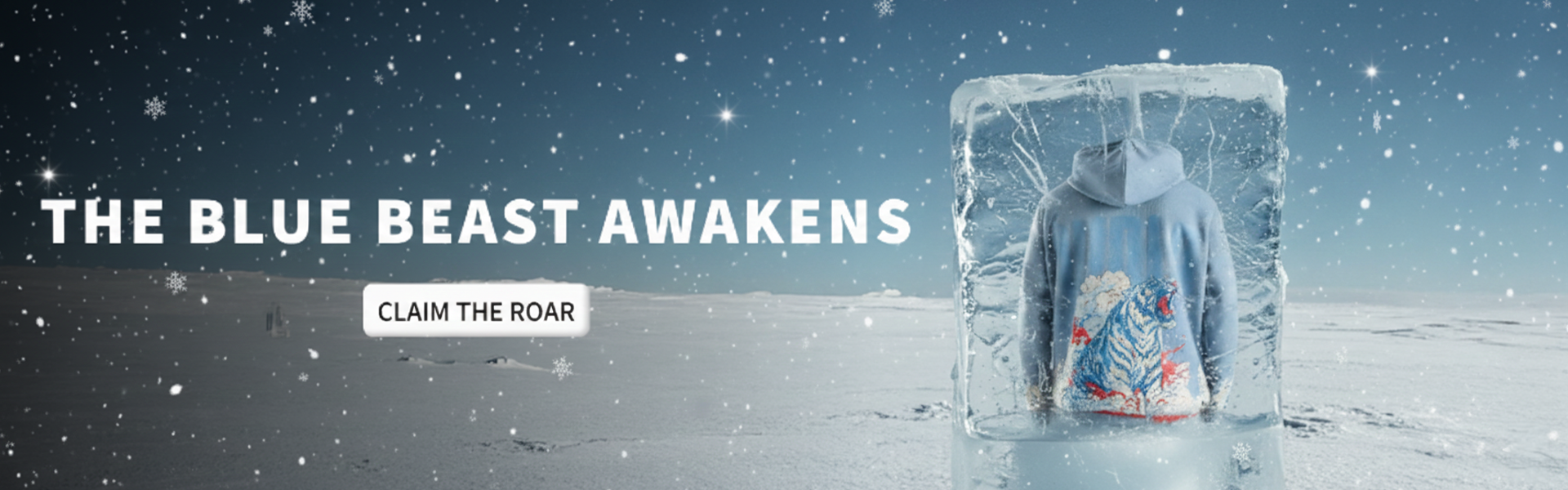 custom-slideshow-image-desktop-block_JY9Gym