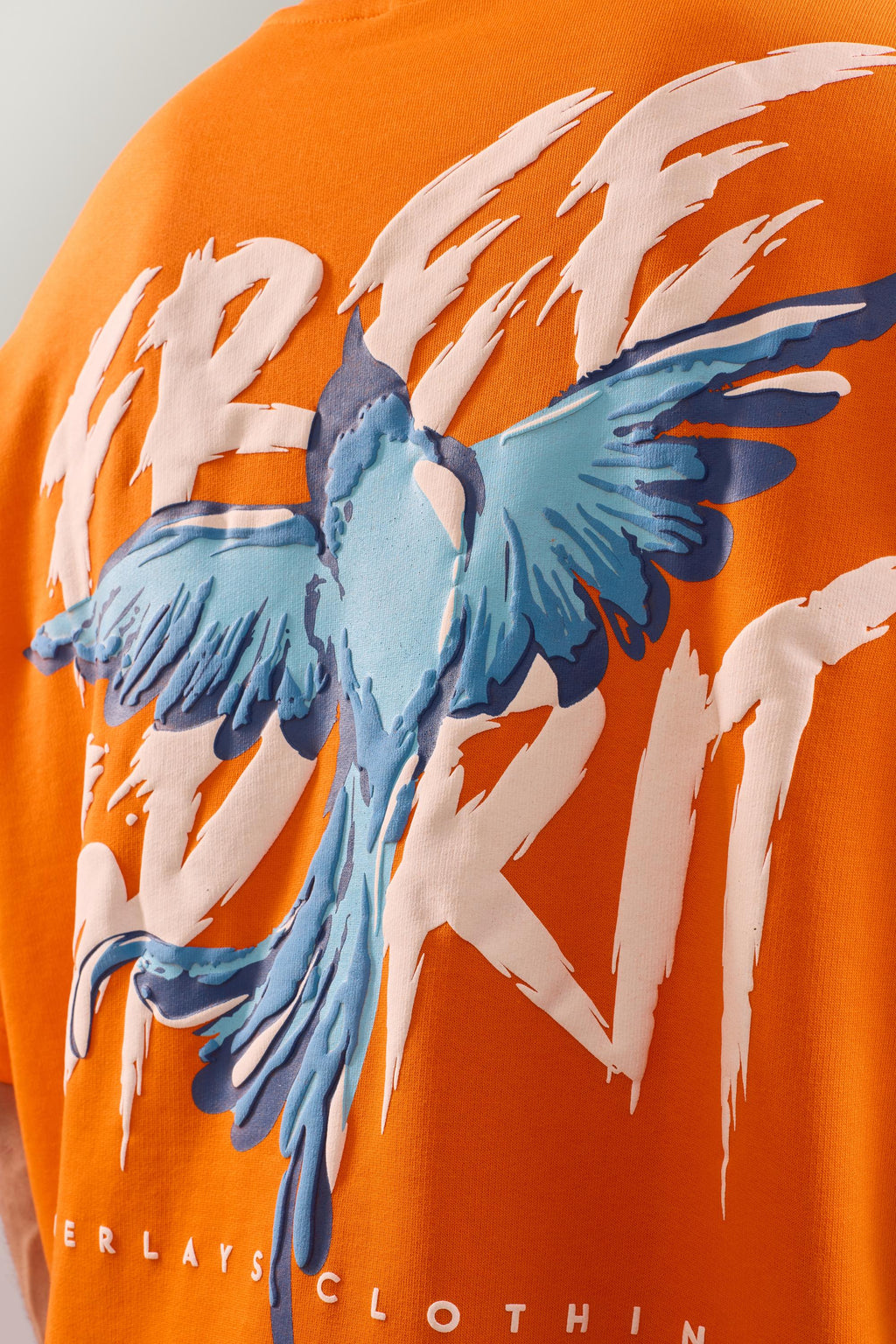 Heavy Weight Free Spirit Arc Relaxed T-shirt