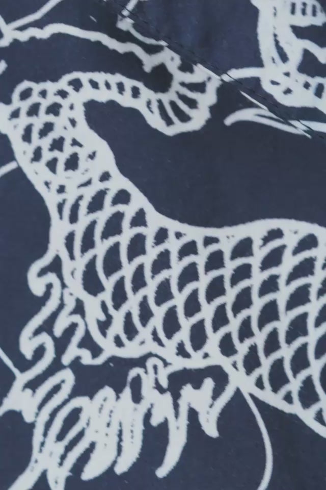 Dragon Raven Shirt