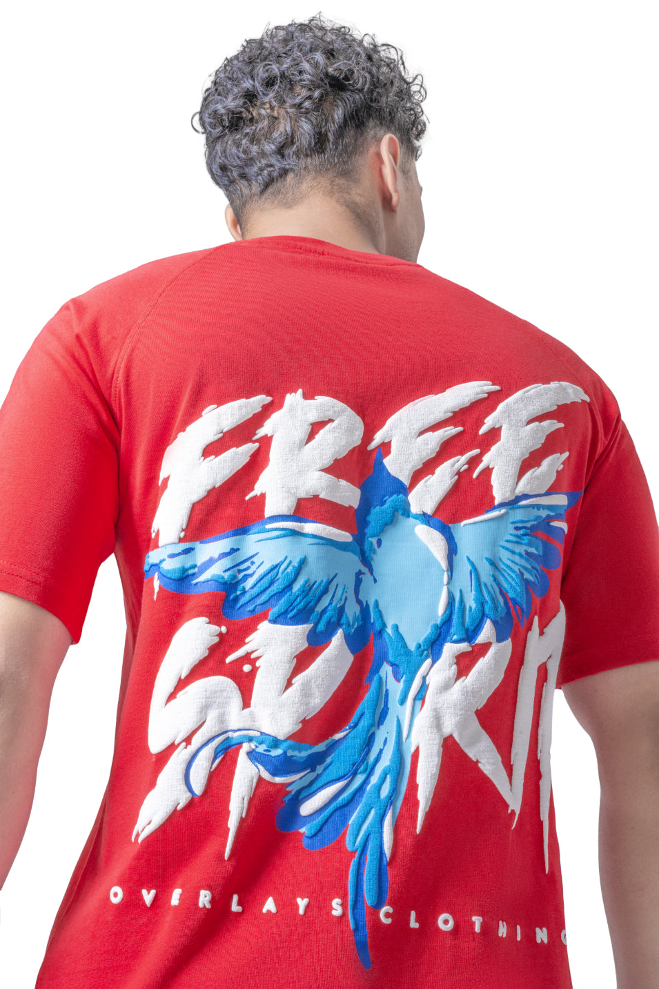 Regular Fit Free Spirit Raglan Tshirt- Red